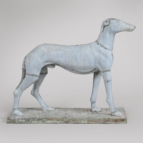 Standing Greyhound